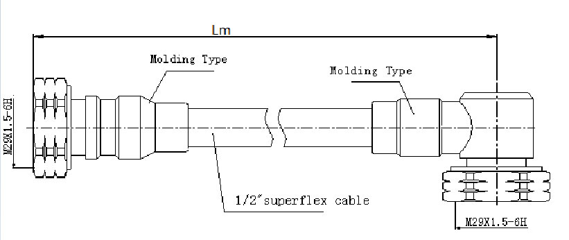 111.jpg